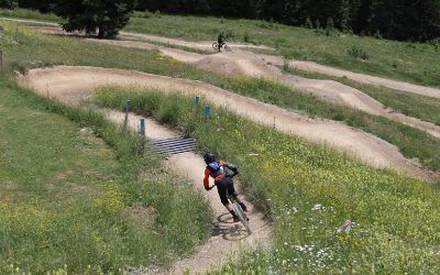 Las Bicicletas de Montaña: Menos Impacto del que Crees según un Estudio Revelador