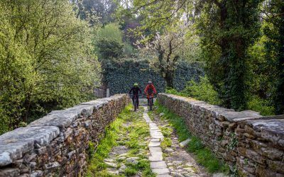 El Camino de Santiago: tradición milenaria y crecimiento contemporáneo