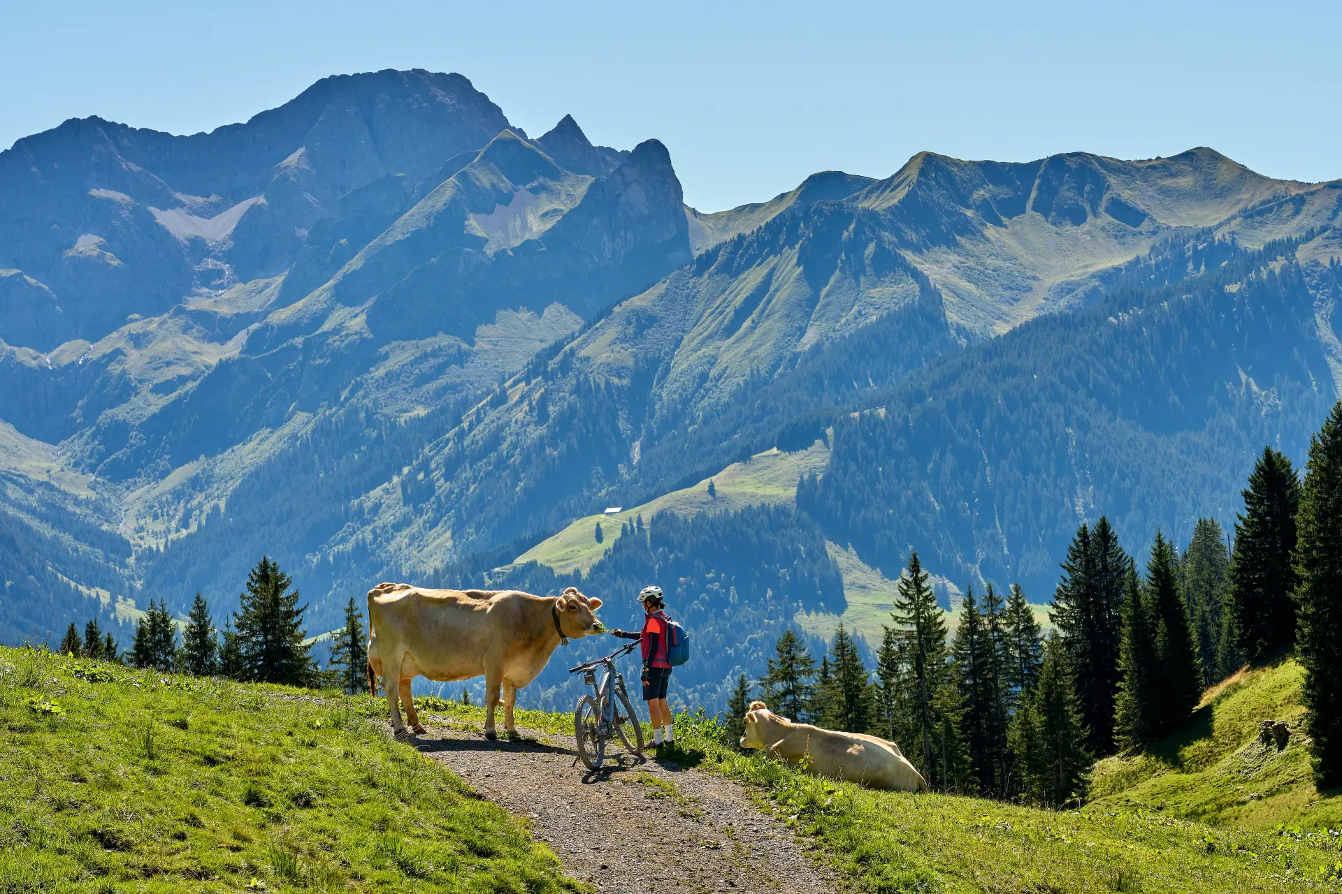 Alpes