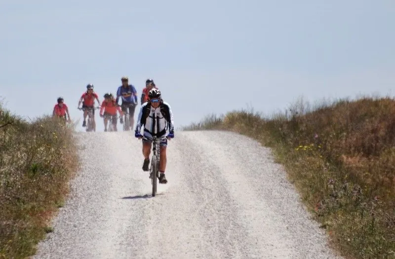Ciclista rodando por una pista del Camino Francés
