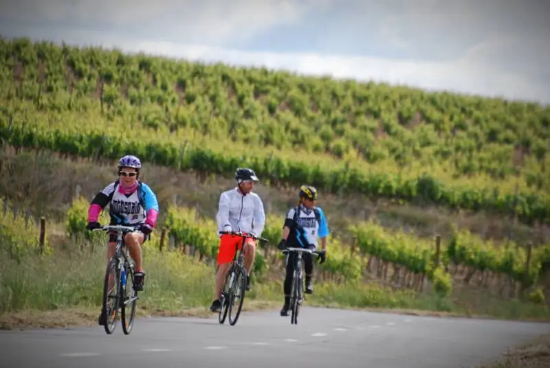 rioja ribera wine tour trip