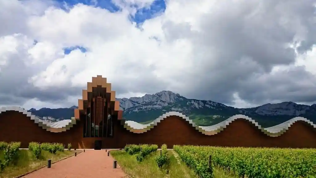 Ciclistas de MTBSPAIN en la ruta del vino