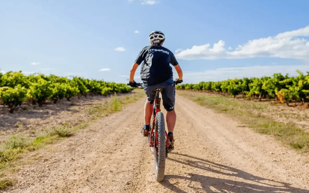Ruta del vino en bicicleta: Rioja y Ribera del Duero