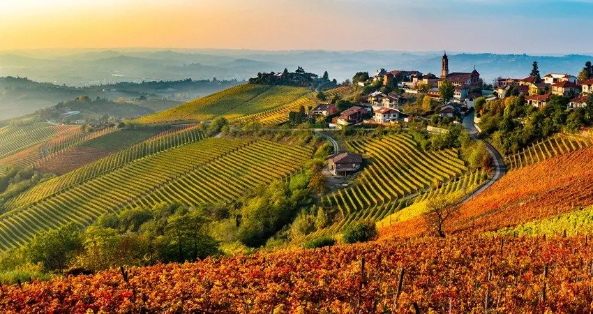 Viñedos de la Toscana