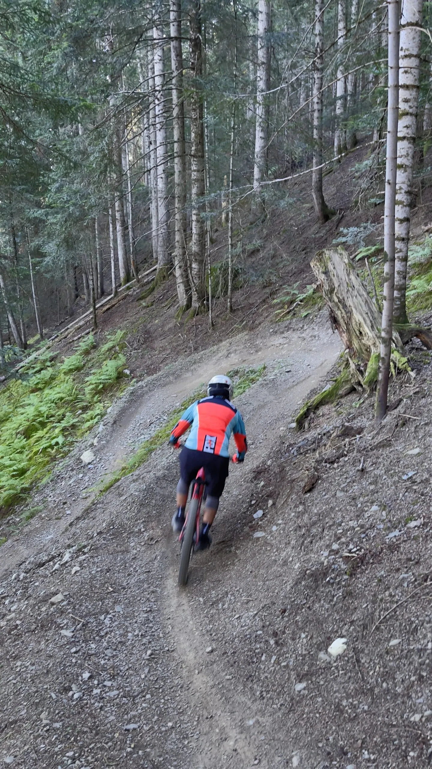 Valle de Aran Enduro MTB