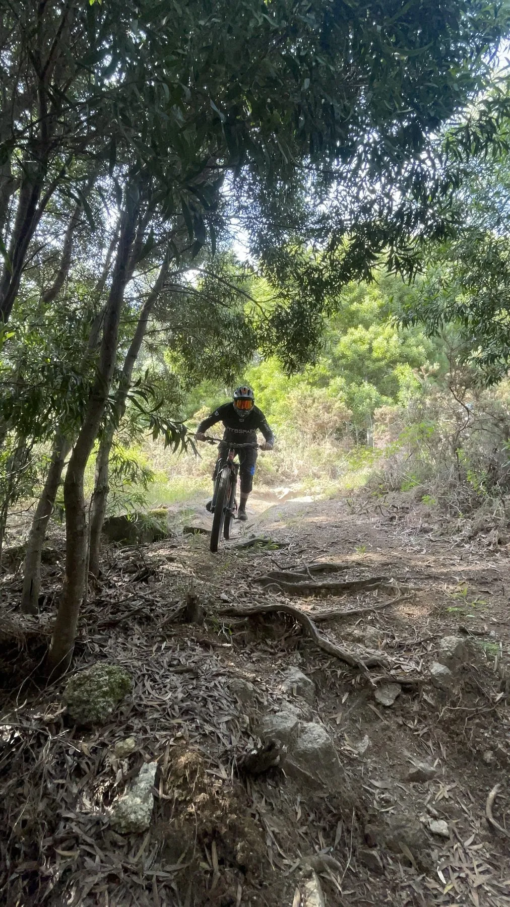 Sendero del curso de iniciación al enduro en Xiabre